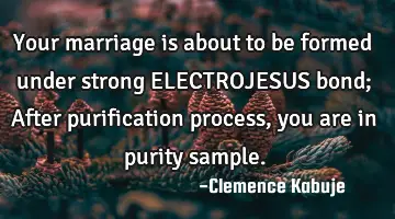 Your marriage is about to be formed under strong ELECTROJESUS bond; After purification process, you