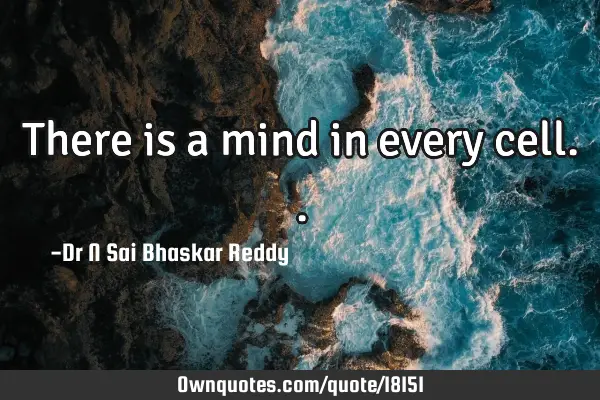 There is a mind in every