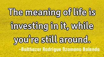 The meaning of life is investing in it, while you're still around.