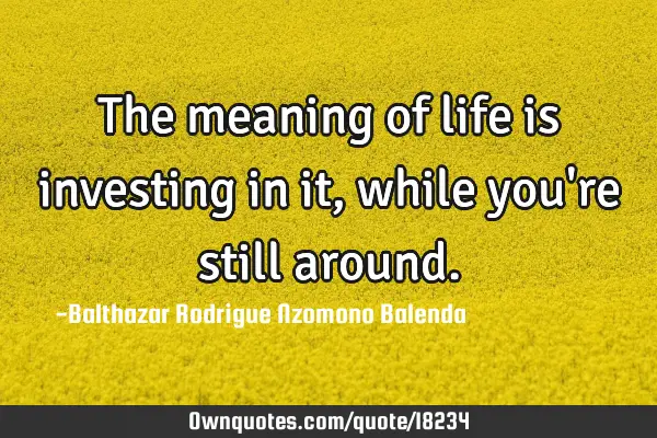 The meaning of life is investing in it, while you