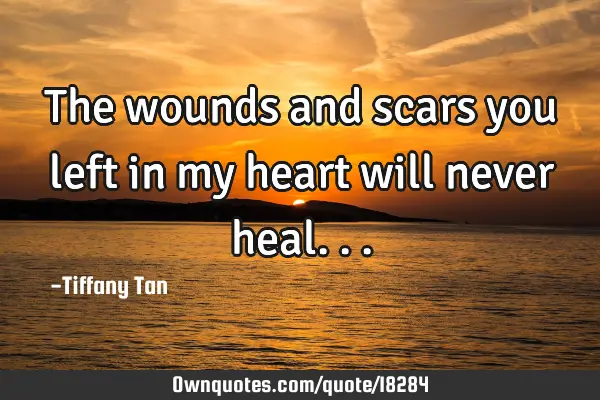 The wounds and scars you left in my heart will never