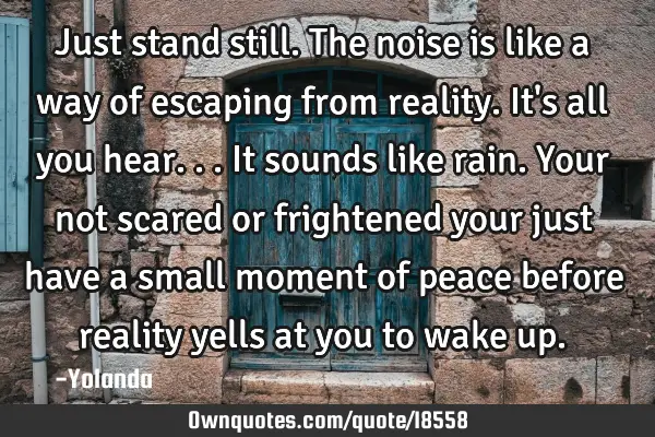 Just stand still. The noise is like a way of escaping from reality. It