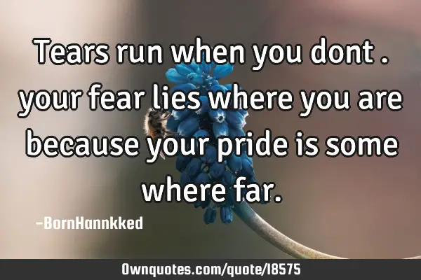 Tears run when you dont . your fear lies where you are because your pride is some where