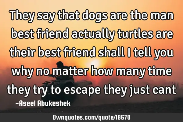 They say that dogs are the man best friend actually turtles are their best friend shall I tell you