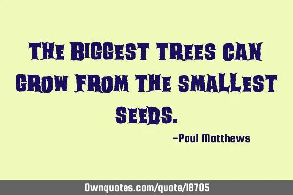 The biggest trees can grow from the smallest