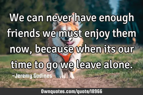 We can never have enough friends we must enjoy them now, because when its our time to go we leave