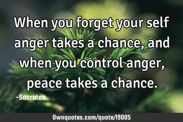 When you forget your self anger takes a chance, and when you control anger, peace takes a