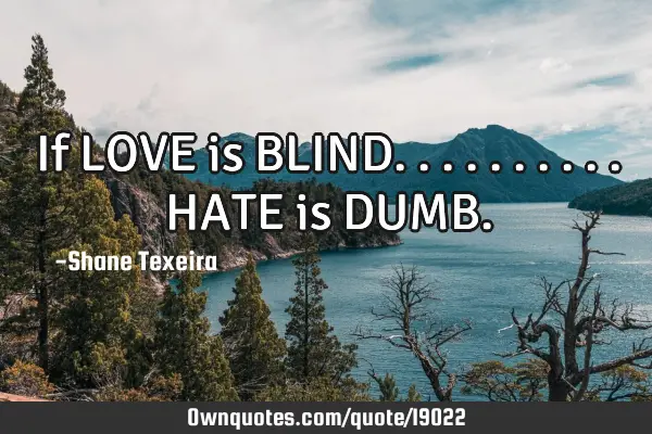 If LOVE is BLIND..........HATE is DUMB