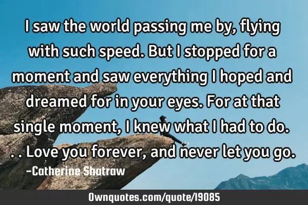 I saw the world passing me by, flying with such speed. But I stopped for a moment and saw