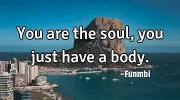 You are the soul, you just have a body.
