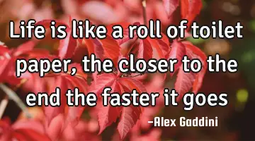 life is like a roll of toilet paper, the closer to the end the faster it