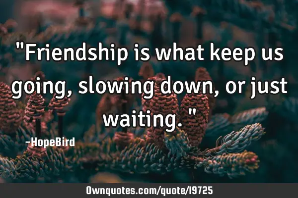 "Friendship is what keep us going, slowing down, or just waiting."