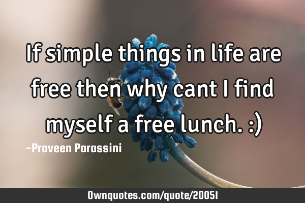 If simple things in life are free then why cant I find myself a free lunch. :)