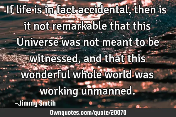 If life is in fact accidental, then is it not remarkable that this Universe was not meant to be
