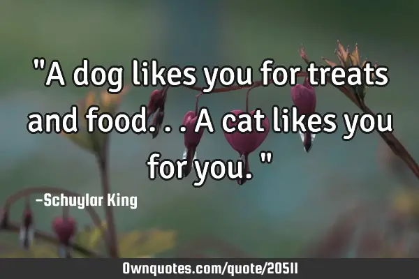 "A dog likes you for treats and food...a cat likes you for you."
