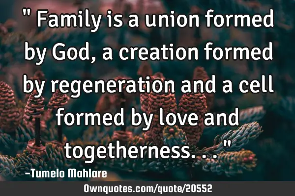 " Family is a union formed by God, a creation formed by regeneration and a cell formed by love and