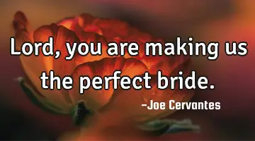 Lord, you are making us the perfect bride.
