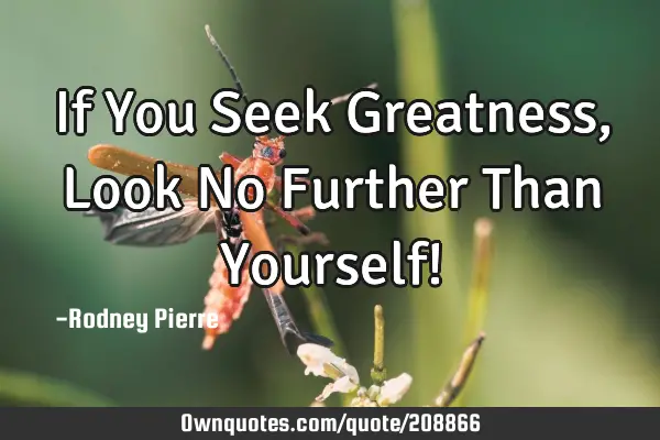 If You Seek Greatness, Look No Further Than Yourself!