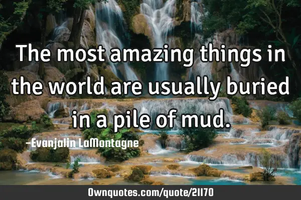 The most amazing things in the world are usually buried in a pile of