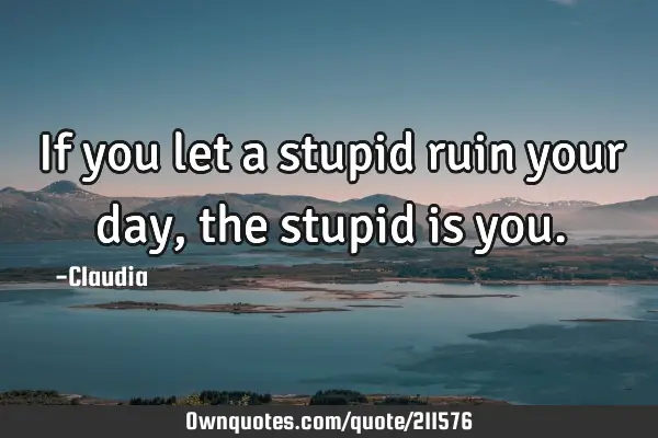 If you let a stupid ruin your day, the stupid is