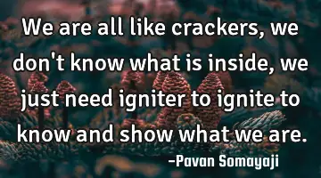 We are all like crackers,we don't know what is inside, we just need igniter to ignite to know and