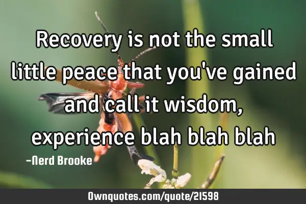 Recovery is not the small little peace that you
