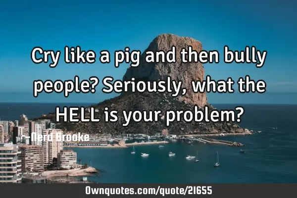 Cry like a pig and then bully people? Seriously, what the HELL is your problem?