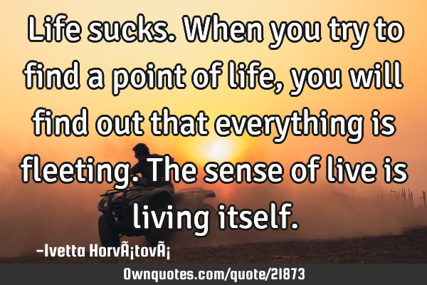 Life sucks. When you try to find a point of life, you will find out that everything is fleeting. T