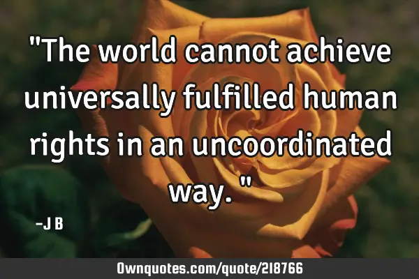 "The world cannot achieve universally fulfilled human rights in an uncoordinated way."