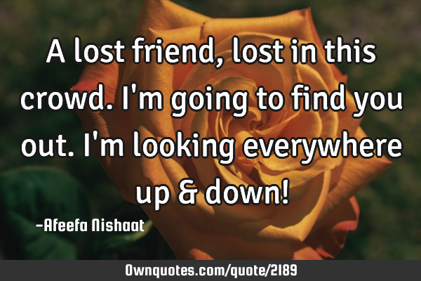 A lost friend, lost in this crowd. I
