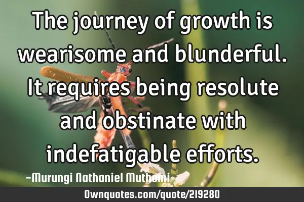 The journey of growth is wearisome and blunderful. It requires being resolute and obstinate with