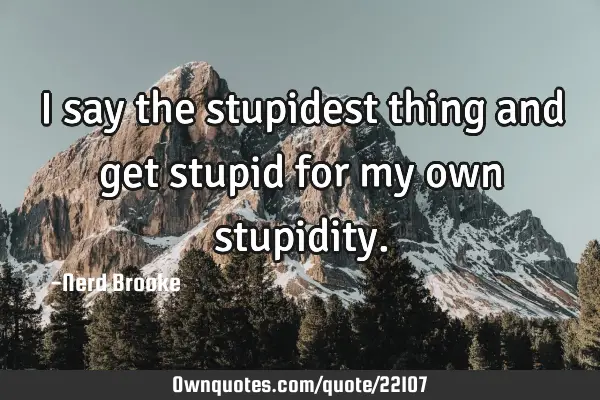 I say the stupidest thing and get stupid for my own