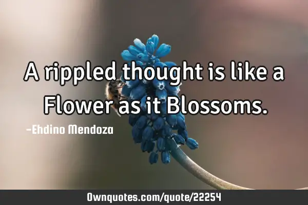A rippled thought is like a Flower as it B