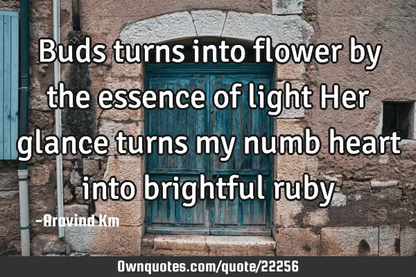 Buds turns into flower by the essence of light Her glance turns my numb heart into brightful