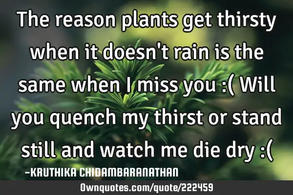 The reason plants get thirsty when it doesn