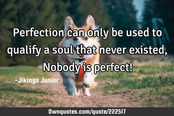 Perfection can only be used to qualify a soul that never existed, Nobody is perfect!