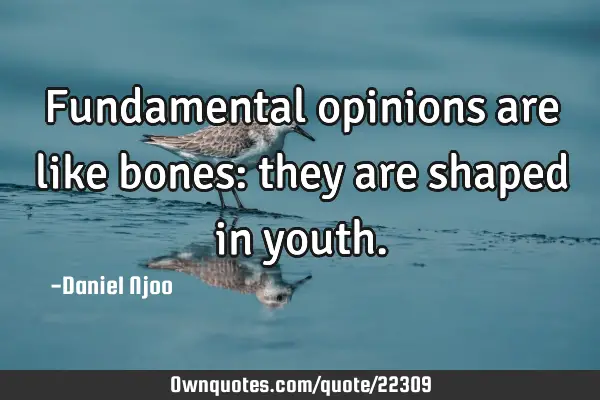Fundamental opinions are like bones: they are shaped in