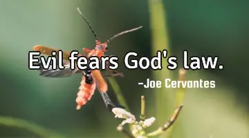 Evil fears God's law.