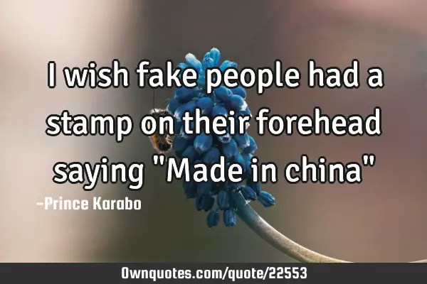 I wish fake people had a stamp on their forehead saying "Made in china"