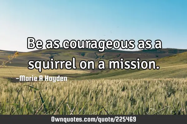 Be as courageous as a squirrel  on a