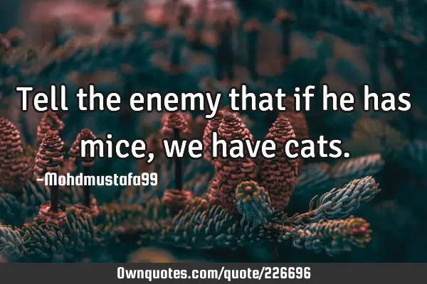 Tell the enemy that if he has mice, we have