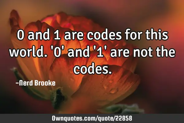 0 and 1 are codes for this world. 