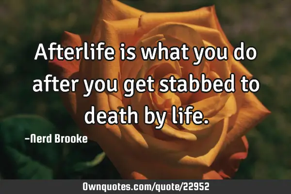 Afterlife is what you do after you get stabbed to death by