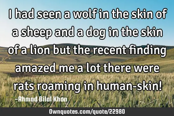 I had seen a wolf in the skin of a sheep and a dog in the skin of a lion but the recent finding