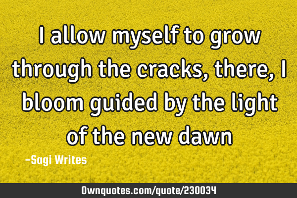 I allow myself
to grow through the cracks,
there, I bloom
guided by the light of the new