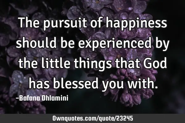 The pursuit of happiness should be experienced by the little things that God has blessed you