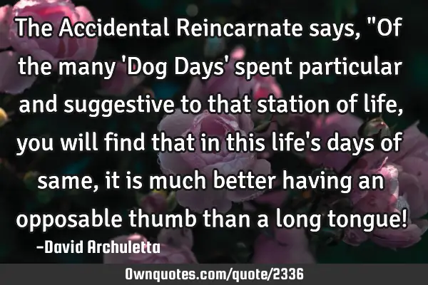 The Accidental Reincarnate says, "Of the many 