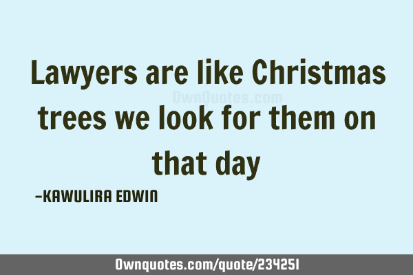 Lawyers are like Christmas trees we look for them on that