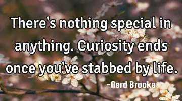 There's nothing special in anything. Curiosity ends once you've stabbed by life.