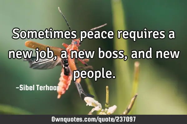Sometimes peace requires a new job, a new boss, and new